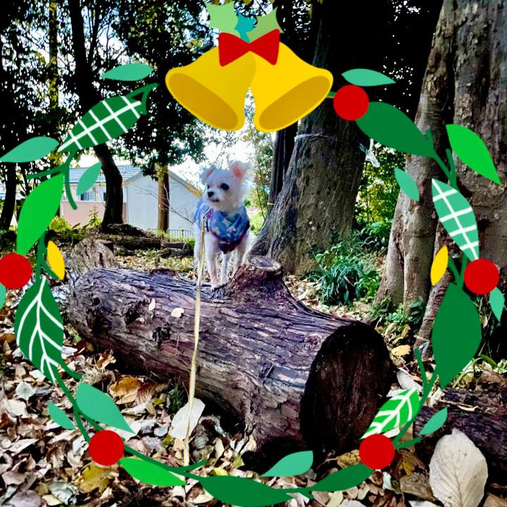 Aba421a3 d93b 40f4 85d7 1e5393637987 1639628352571