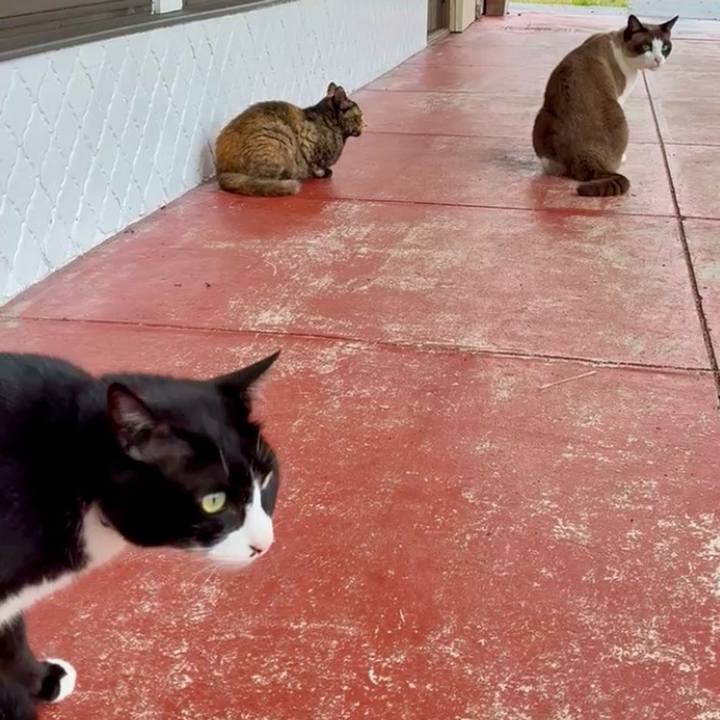 Aba44959 dec6 45b5 b8a7 760bd6be7cb2 1749781073381