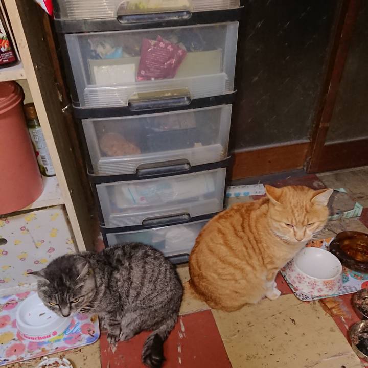 Aba4544b b628 4724 8e4c 3cab1967312f 1577217059900