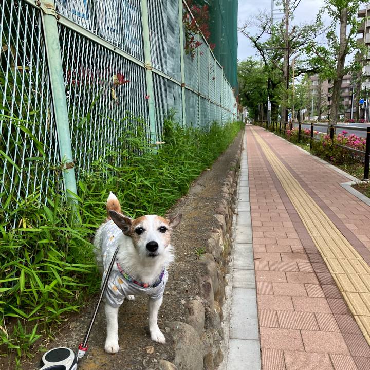 Aba469e1 d564 47b8 9dff 5781c20c2f2d 1683674773401