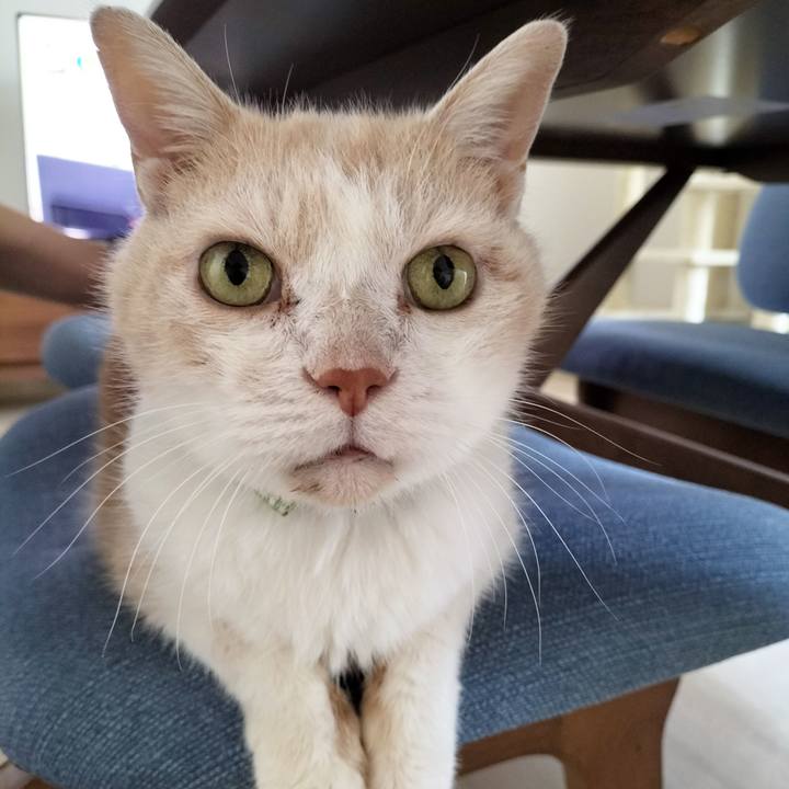 Aba4709f 68cc 404e b81f 728b911e1a33 1695076482071