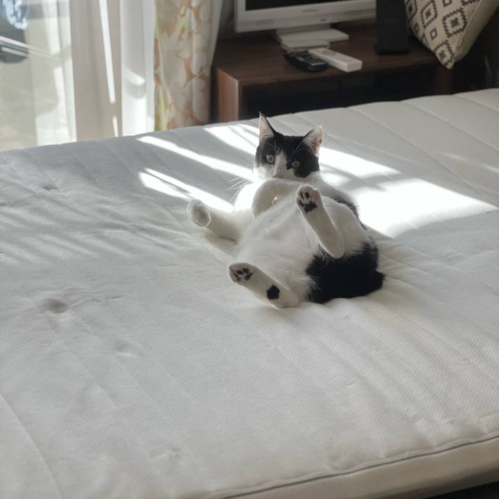 Aba53dc4 5473 4fd3 889a 071a320cad90 1674875098031