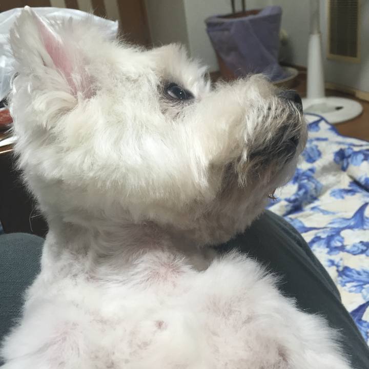 Aba54392 bb78 4680 ae25 ea1294fea474 1527771719714