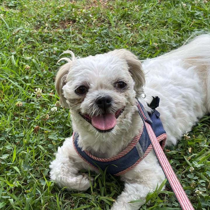 Aba55bd3 4929 4f53 860a 3f97a2a0712a 1752529508064