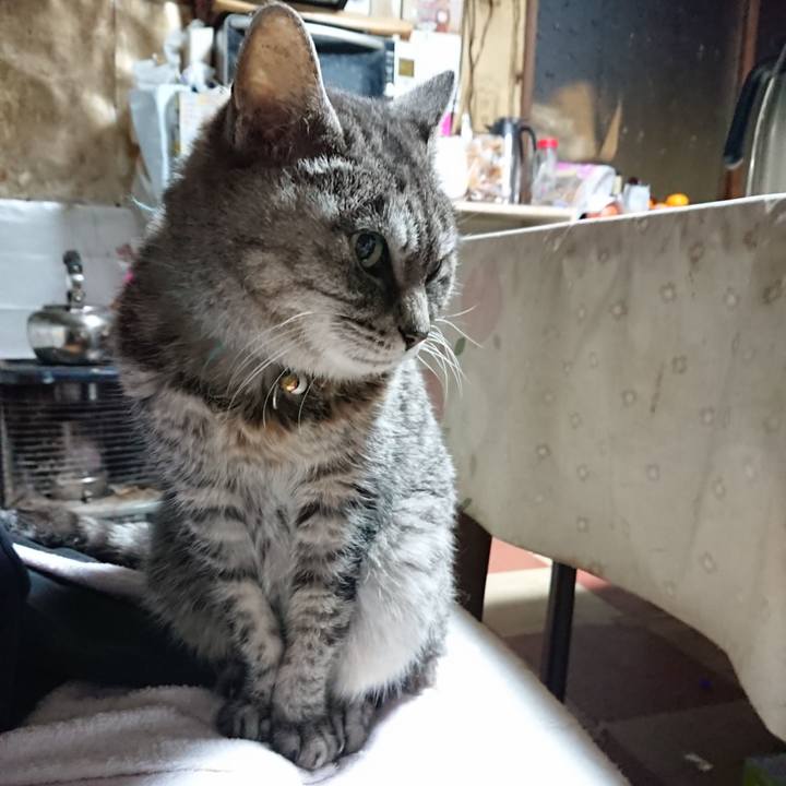 Aba56a98 506c 426e a62f 6323ce364ad7 1576959528564