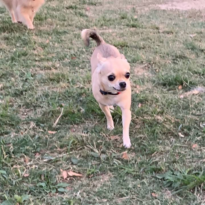 Aba59e71 80f0 492b b985 2a7ff3799f84 1570446067084