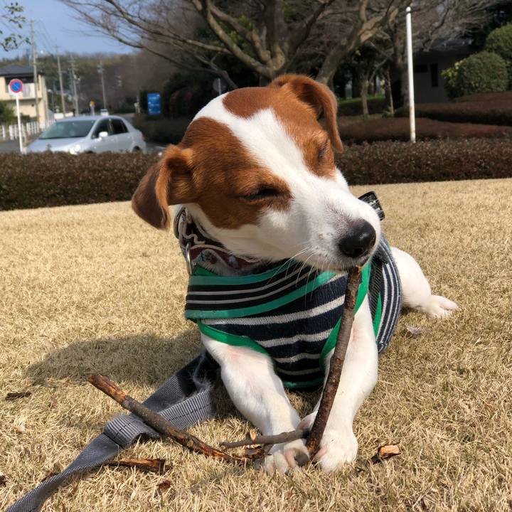 Aba5bf96 64cb 47ef b581 5391cc87a5f6 1613206547000