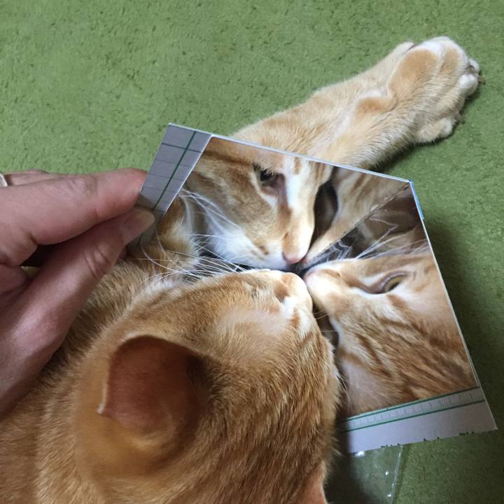 Aba5cc5b e009 47ab 94d3 0139dae49690 1520653497692