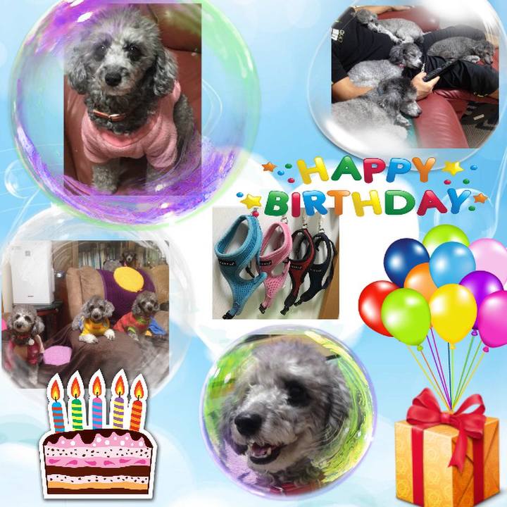 Aba5ed3c b63d 49f1 8821 c00a9a2a6db7 1529136568095