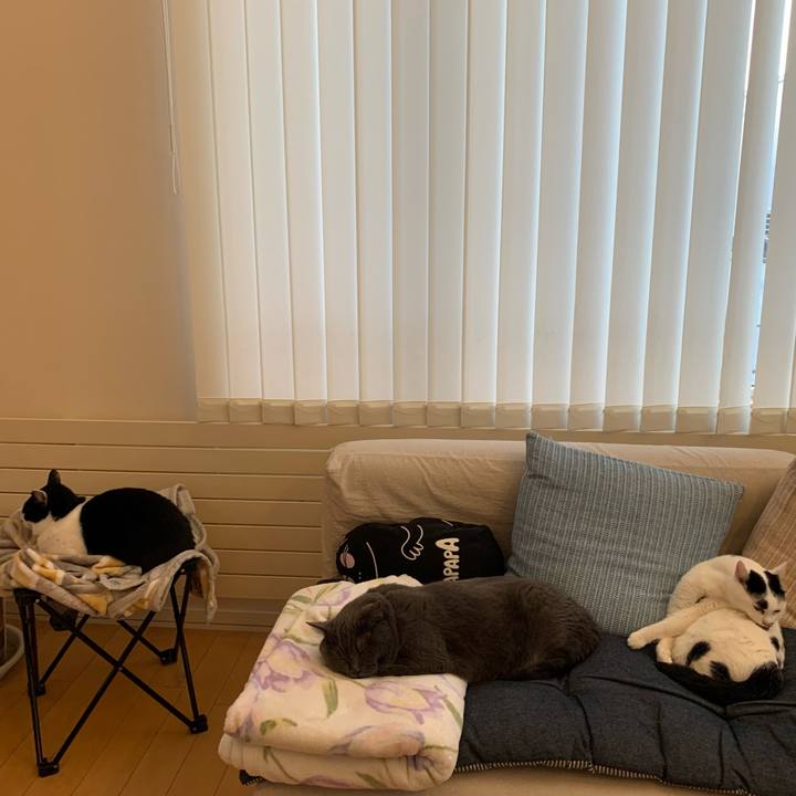 Aba5fef8 f5b4 4b7b b58c c656b228b45f 1640384158892