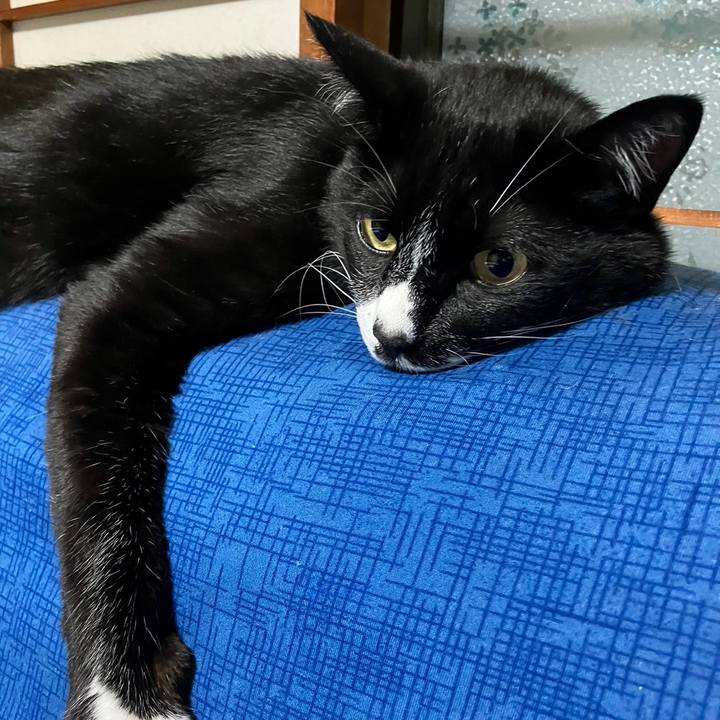 Aba60742 5225 4882 bb84 158da74693e0 1721997553146