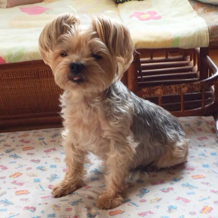 Aba61ec0 44a8 4858 b233 53dbe0e28058 1527306707465