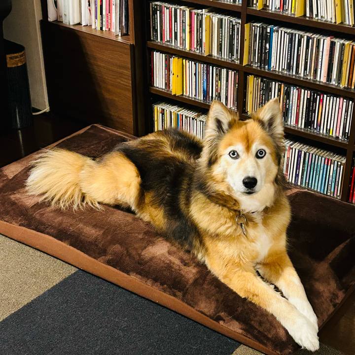 Aba62fc3 bebb 43c2 98ad 5a5c3d00e73e 1708010421080