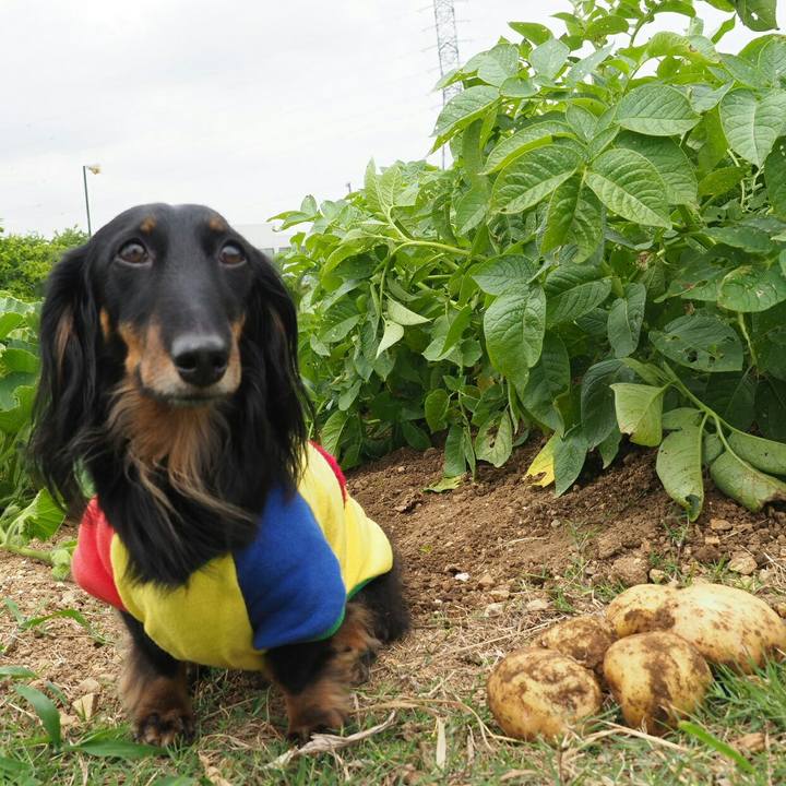 Aba6668e 9072 4dca 930f 734918e522f1 1559785812646