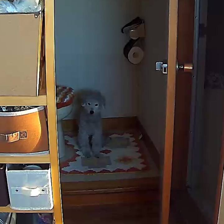 Aba66ba2 e318 4487 aadc 36ba1bfd3ea7 1586507289756