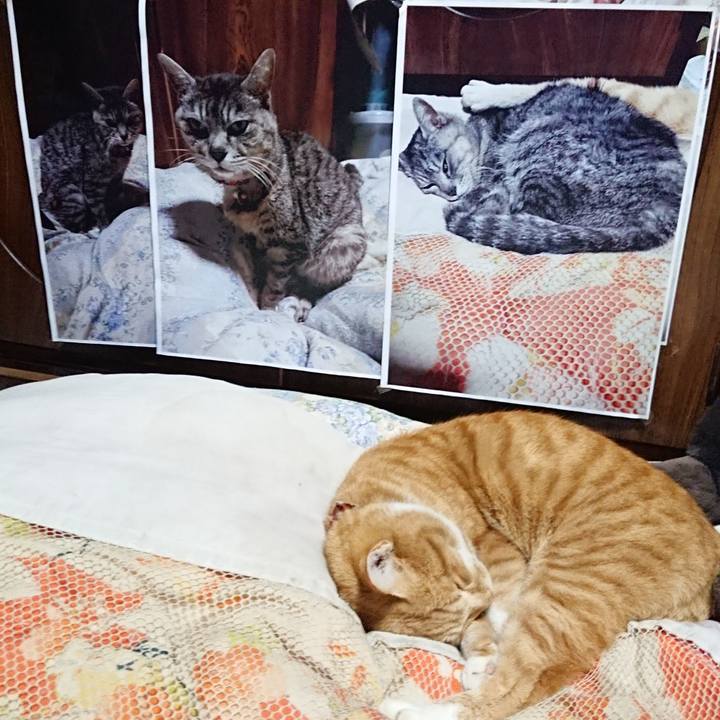 Aba67500 0365 44ad bf2a bf102e58aa1c 1608205663824