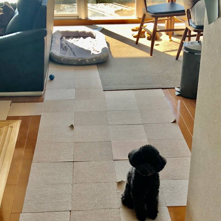 Aba67941 3efc 494b abb3 2efc448fae77 1607156284970