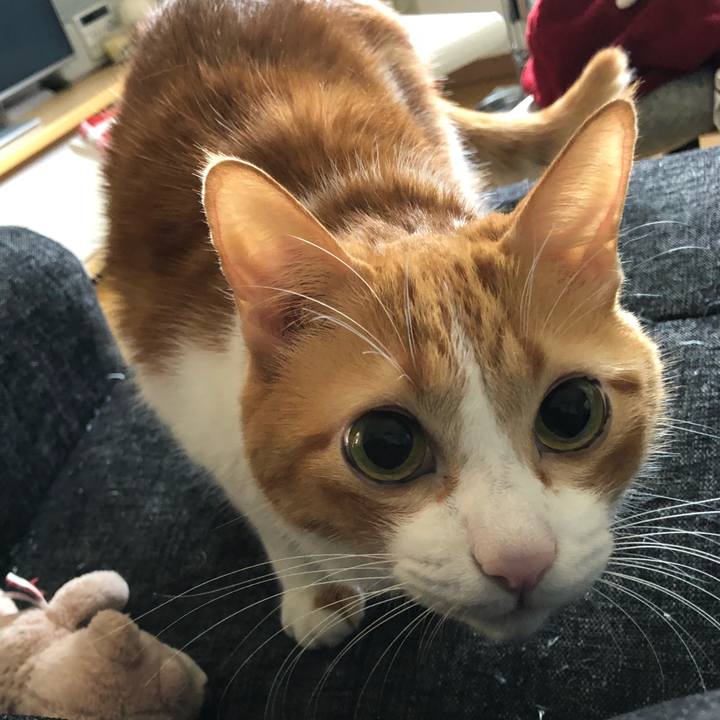 Aba6d1e9 2199 43d1 830d 227c0c011c2a 1538405749238