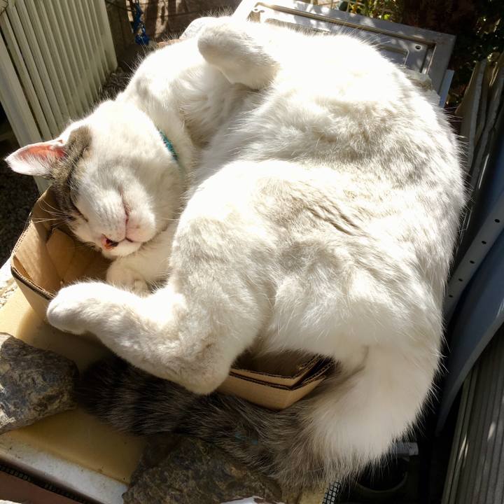 Aba6f109 42d7 4241 a798 4e982e5f761f 1515299531064