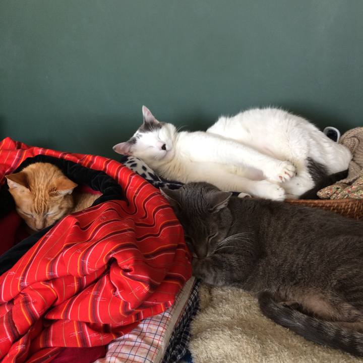 Aba6ff4e 5379 4478 a2c8 a6e655ed3d6e 1536608568836