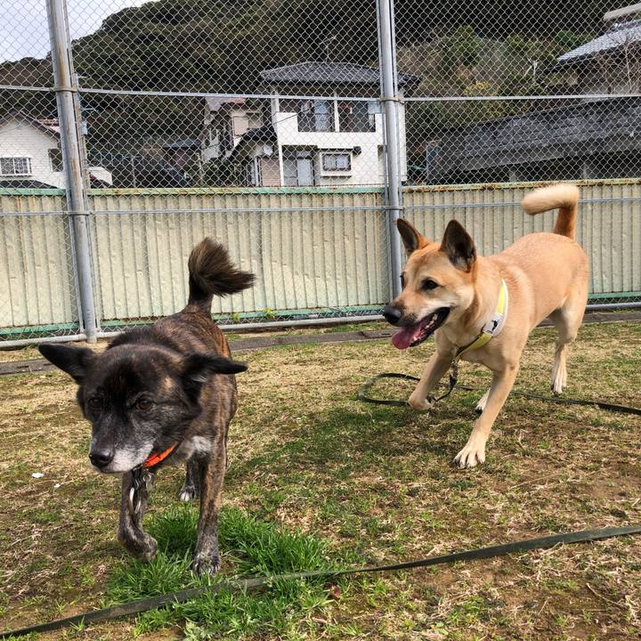 Aba71e90 ade4 47ec a2b0 8ab1e6c9759d 1580648118985