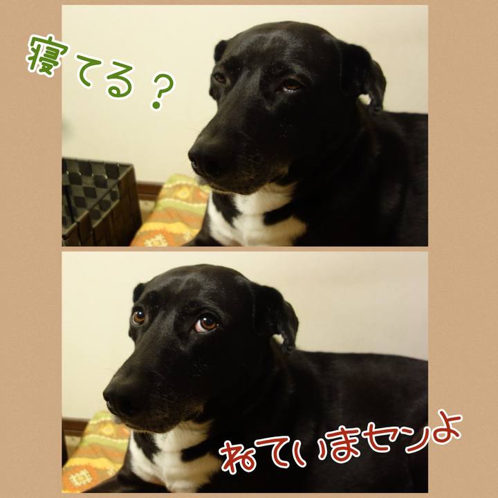 Aba72a00 e631 4847 85d4 239156343836 1669546280522