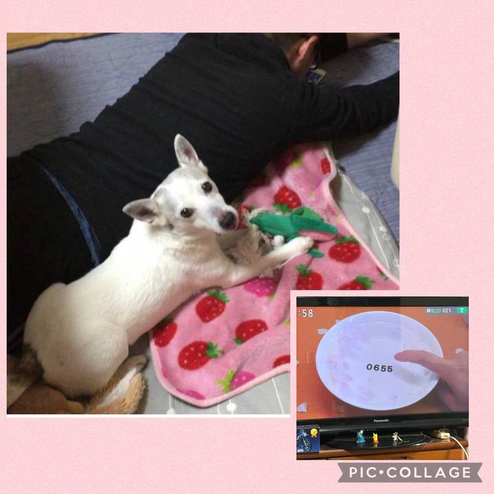 Aba72d09 4759 444a b399 46c96849cea2 1773958758022