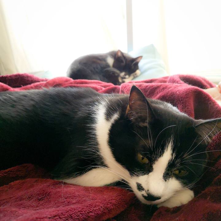 Aba73e89 fe6c 4887 8cd5 010d9a4dd450 1579536208889