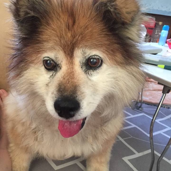 Aba75084 edf7 4522 94d8 1300fabab3b5 1636259265540