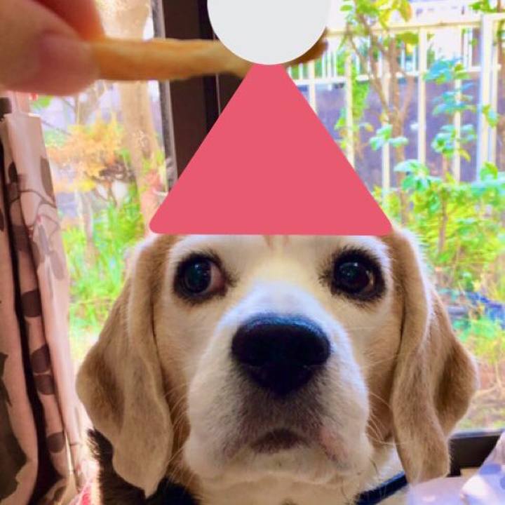 Aba7523b 9c44 4bc2 8068 f04231aec086 1545660077414