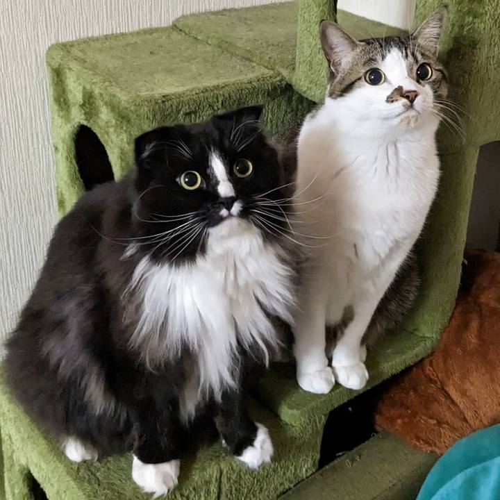 Aba7855b f3b1 4cf7 a519 130d04ce45a8 1677965690828