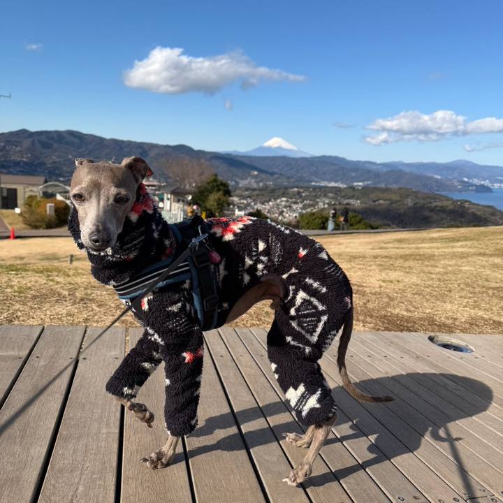 Aba7af59 d3df 4770 8140 d34053568aa2 1767498863924