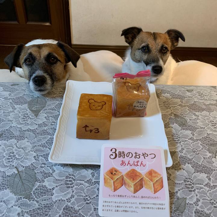 Aba7b8f4 3fda 4fe8 9a91 c85d9cb6d9fe 1649160609068