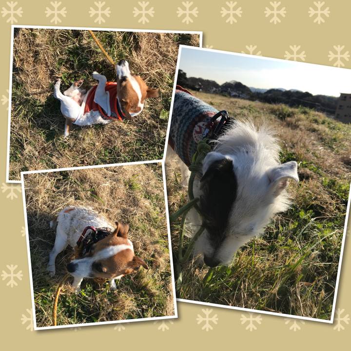 Aba7ba40 ceca 423c ae1e ff7d89ea4b22 1512348612323