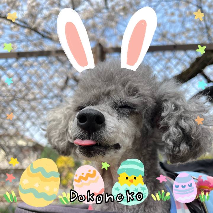 Aba7ca13 4dd3 4d61 9373 89307f9a29f5 1712473336225