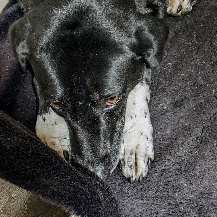 Aba7caef 150d 415b ba02 651daebfe20d 1673608300518