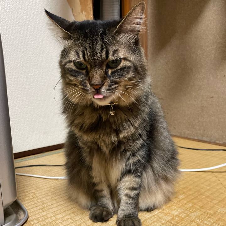 Aba7de25 68c7 4924 bfdd 103754bbb5d4 1722217593598