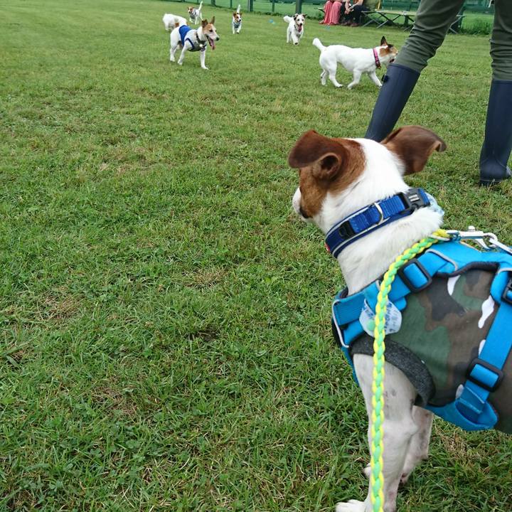 Aba7e4cc af49 4e88 8def 1b7f7442c1de 1562395588047