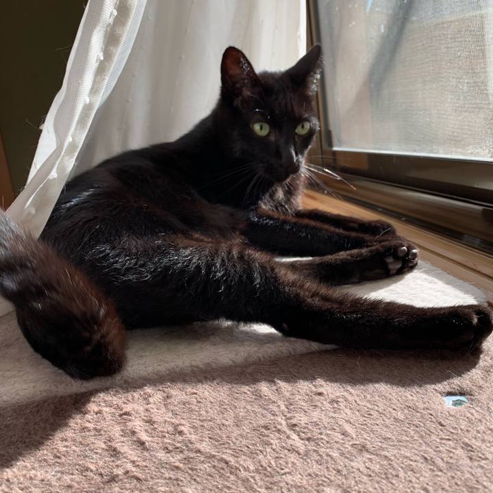 Aba81024 5a6f 4513 9f6e ca2e2fb9c2fc 1539482006578