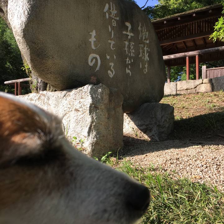 Aba82d30 731d 461f a73f 2ddd21a1a82c 1560742300487