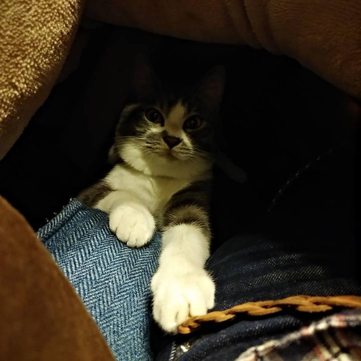 Aba833de 0e06 423f a0b3 fefc21e22886 1581324211142