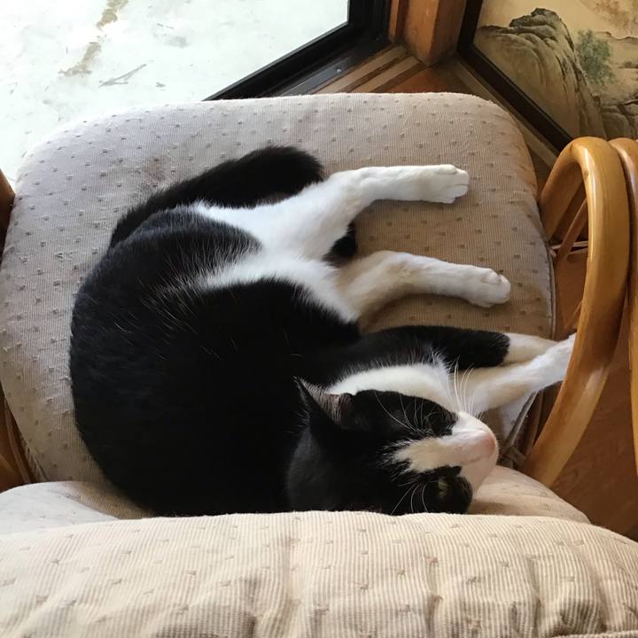 Aba835cb 0a41 47fa ad21 53f11898c5bd 1753865515886