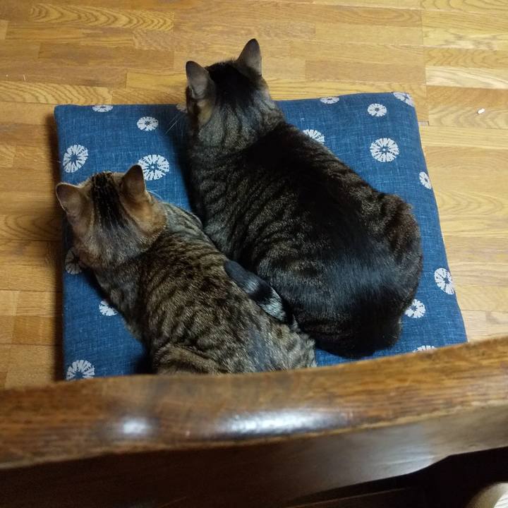 Aba84fba 4d2e 4030 9420 c5945e3113ab 1651590799394