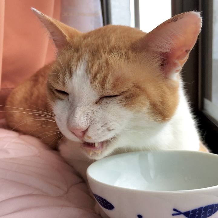 Aba89985 b361 4ddd 8811 956a86fc1be0 1599115373100