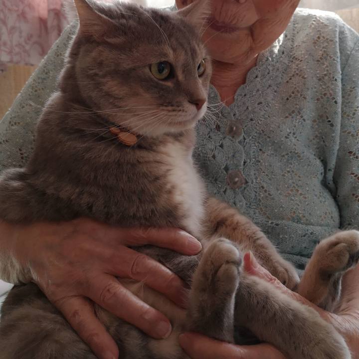 Aba8b4df f2c1 4a24 ab13 e73f77b7564b 1564372373634