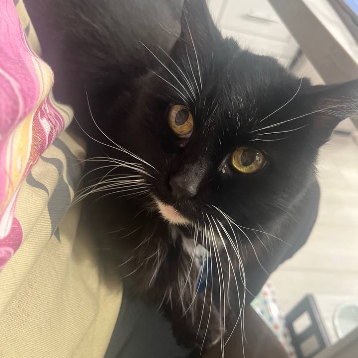 Aba8b79b 55a0 4d59 8f07 89069ea6607f 1767493077072