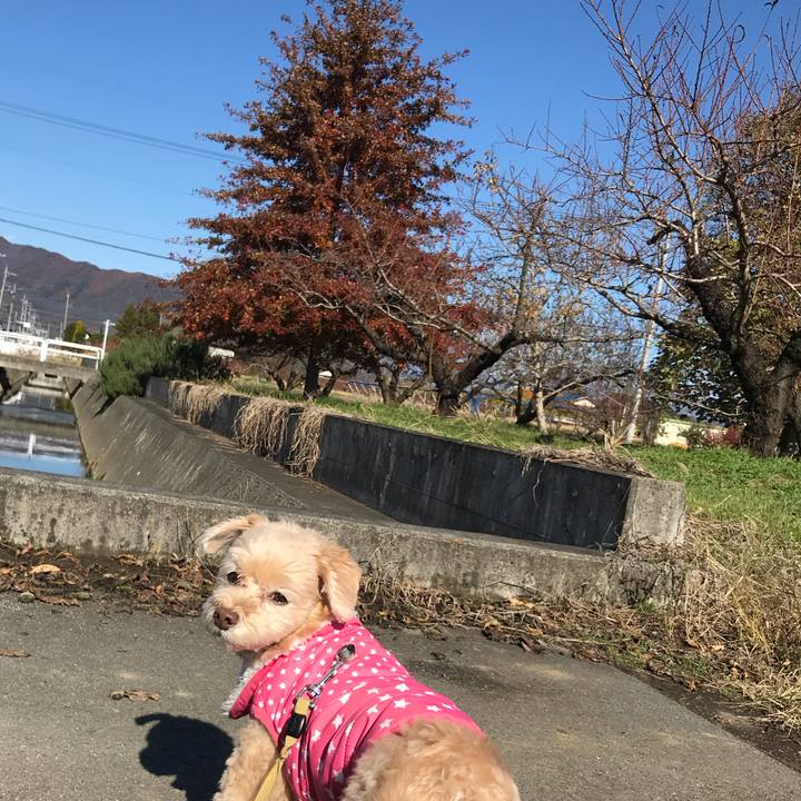 Aba8c454 e7a3 4b0f b140 8bb97e53665c 1575086093777