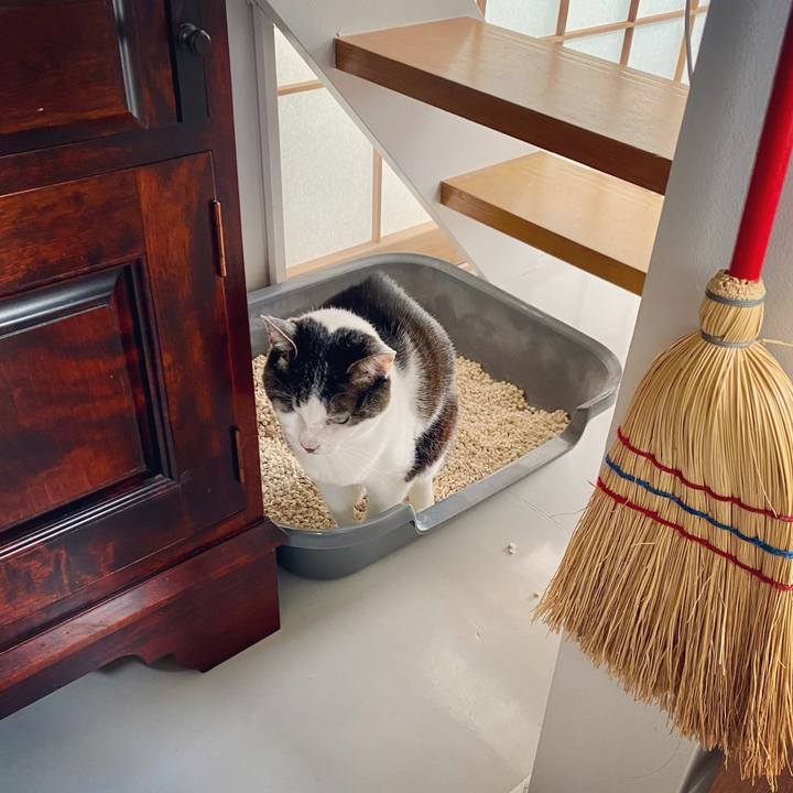 Aba8db17 9259 4248 b8e0 86fc7ec163e6 1621139811122