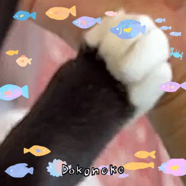 Aba8ff00 5b01 413c a433 4da3e0937dfb 1755126420595