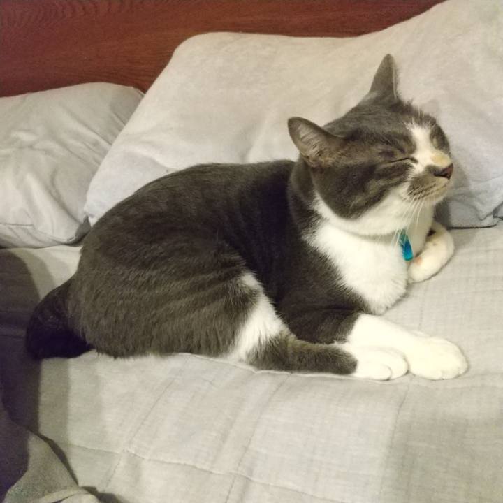 Aba8ffbe 54f9 434e 8f08 3defd5b34fa4 1634735823853